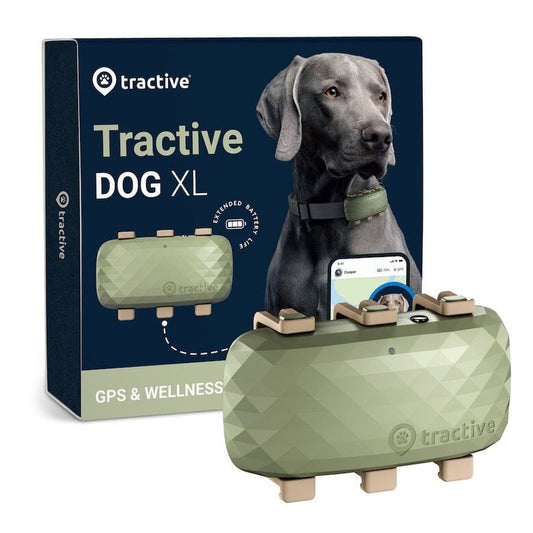 Localizador GPS Tractive XL Verde para Perros